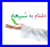 آيا بر اساس منابع اهل سنت دشنام دادن به شيعيان دشنام به پيامبر صلي الله عليه و آله محسوب مي شود؟