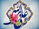 آيا حضرت علي عليه السلام در نهج البلاغه خلافت را حق خود نمي دانند؟